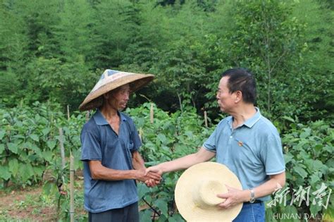 积极作为 汇集力量聚焦精准扶贫 新湖南