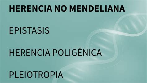 H No Mendeliana Epistasis Pleiotropia Herencia Polig Nica