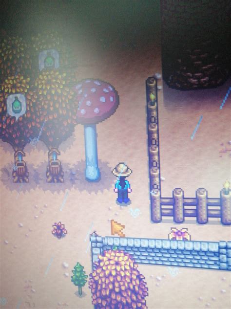 This mushroom just grew here! Is it rare? : StardewValley