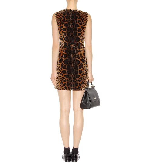 Leopard Print Velvet Dress Dolce Gabbana Mytheresa