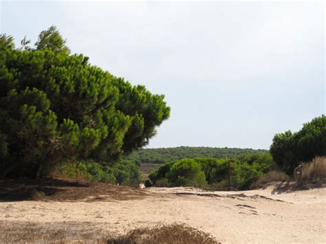 "Mediterranean Vegetation" Images – Browse 11,580 Stock Photos, Vectors, and Video | Adobe Stock