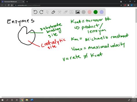 Solved Enzymes Catalyze Chemical Reactions What Constitutes The