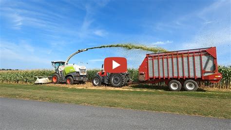 We Ran Out Of Feed Corn Silage Harvest 2023 With Claas Jaguar Chopper