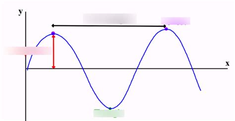 Label A Transverse Wave Diagram Quizlet