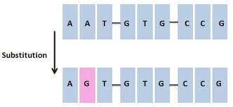 What are 3 things that a substitution mutation causes?