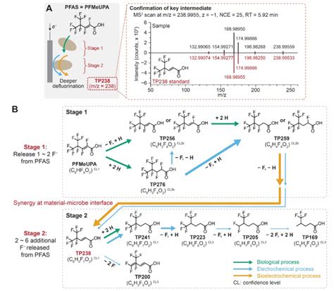 Pfmeupa Defluorination Pathways At The Electrochemically Driven