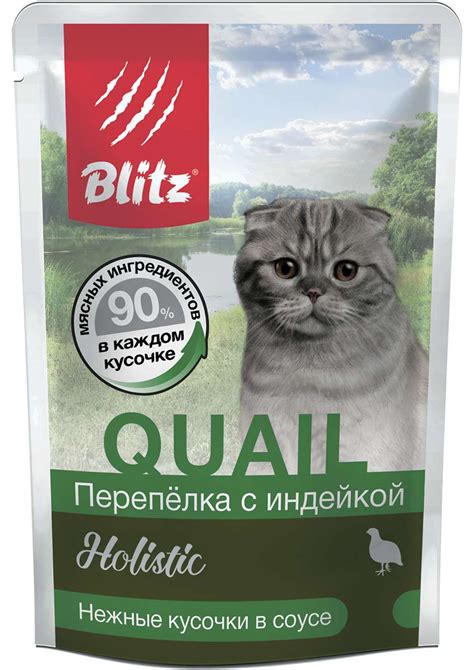 Купить консервы Blitz Holistic Quail & Turkey in Gravy Adult Cat All ...