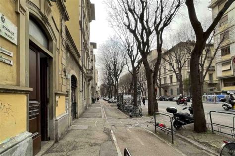 Dobbiamo Scongiurare L Abbattimento Degli Alberi In Viale Don Minzoni