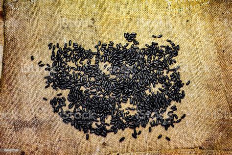 Black Bean Seeds Stock Photo Download Image Now Bag Brown Burlap