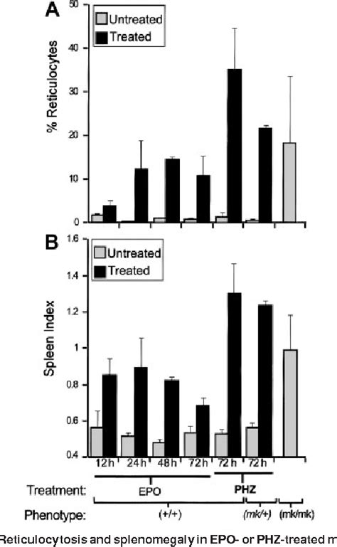 Pdf Characterization Of The Iron Transporter Dmt Nramp Dct In