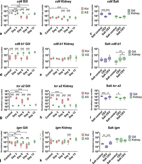 The Mrna Expression Levels Of Genes Involved In Immune Responses In