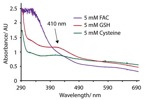 3 UV Vis spectra of 4Fe4S cluster reconstitution of HydF 600 µM