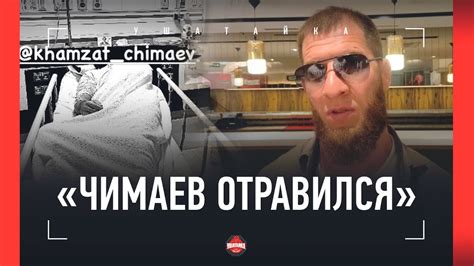 АБДУЛВАХАБОВ: Чимаев, Алискеров, Махачев, Багов и Резников / "ВАРТАНЯН ...