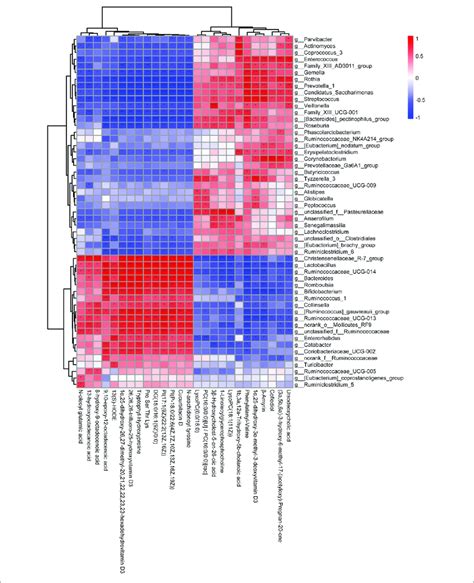 The Correlation Analysis Of The Differential Metabolites And