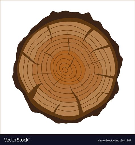 Cross Section Of Tree Stump Or Trunk Wood Cut Vector Illustration In