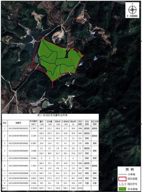 关于深圳市深汕特别合作区2022年度第三十三批次城镇建设用地永久用林申请林木采伐的公示 深汕网