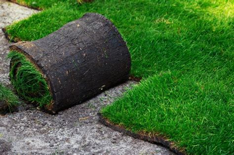 Learn How To Lay Sod By Following These Four Steps