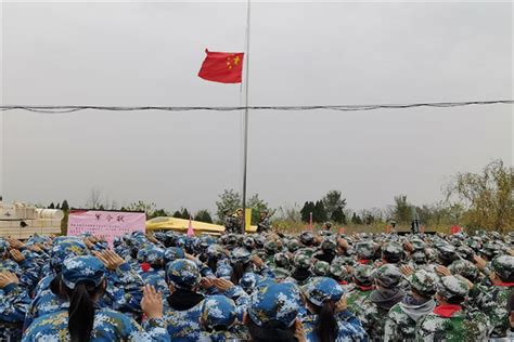 告成镇隔子沟小学 开展国防教育 厚植爱国情怀学校时讯dfedu