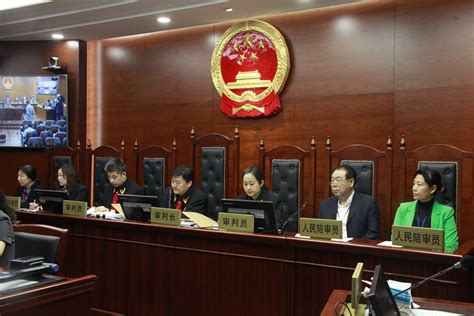 Assessors Take Court System Into New Era Chinadaily Cn