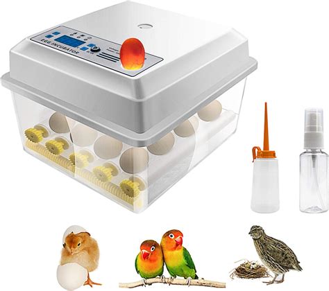 Amazon Safego Egg Incubator For Hatching Eggs Digital Mini