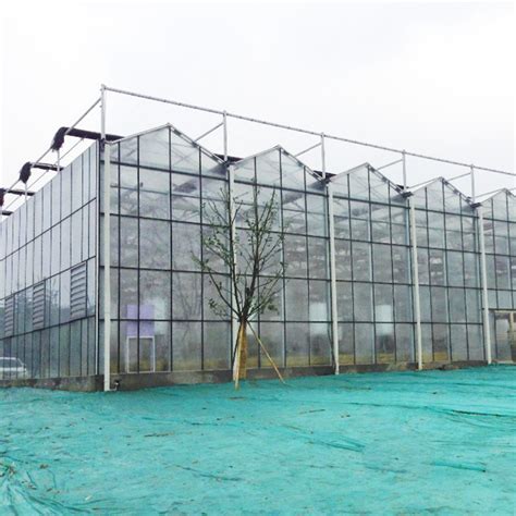 Agricultural Multi Span Hydroponic Fiber Glass Greenhouse For