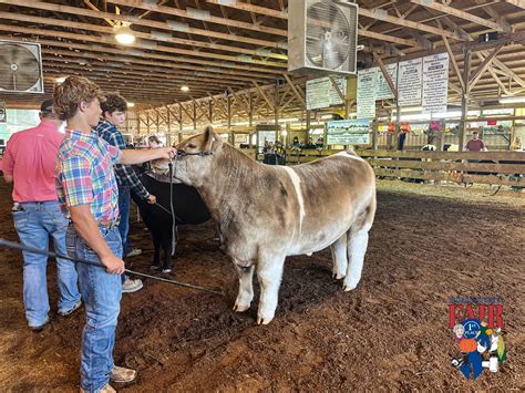 Junior Fair — Huron County Fair