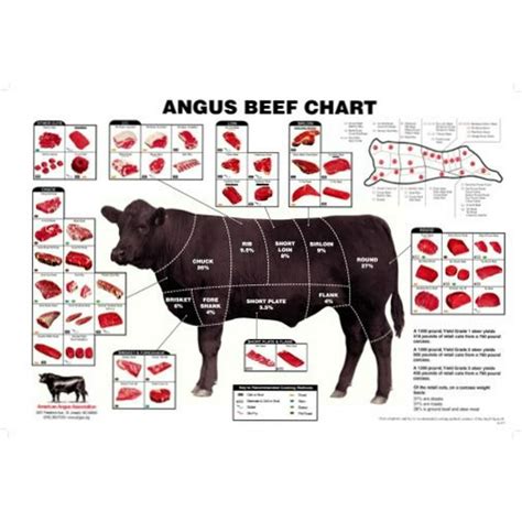 (27x40) Angus Beef Chart Meat Cuts Diagram Poster - Walmart.com ...