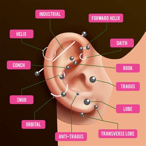 Cute Cartilage Piercing Ear Piercings Chart Types Of Ear Piercings