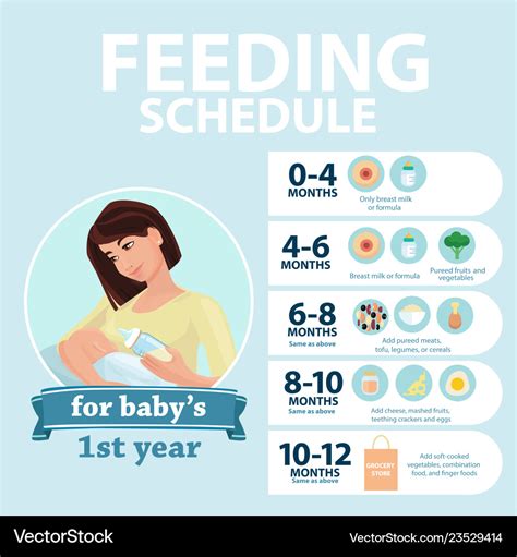 Feeding schedule for babies 1 year tips Royalty Free Vector