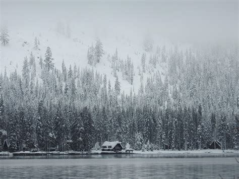 Winter beauty at Donner Lake in California, near the site where the ...