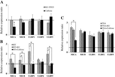 Effects Of Atm Atr Inhibitors On The Surface Expressions Of Nkg D