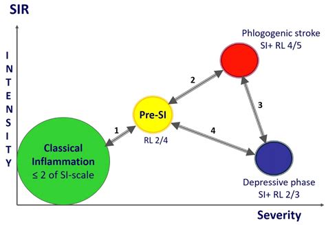 Ijms Free Full Text Acute And Chronic Systemic Inflammation Features And Differences In The