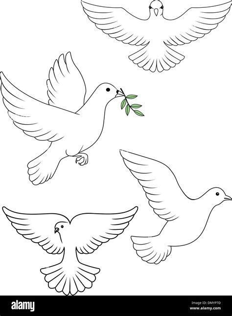 Dove Vector Stock Vector Image And Art Alamy