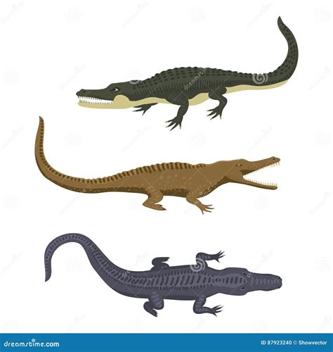 Alligator Scales Stock Illustrations – 302 Alligator Scales Stock Illustrations, Vectors ...