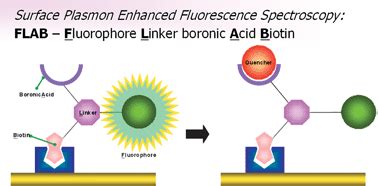 A Surface Plasmon Enhanced Fluorescence Sensor Platform New Journal