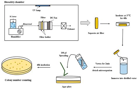 Antimicrobial Air Filter Coating With Plant Extracts Against Airborne