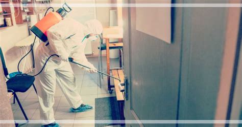 20 Best Pest Control Services In Abu Dhabi Abu Dhabi Ofw