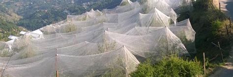 Anti Hail Net Manufacturers And Suppliers Tuflex