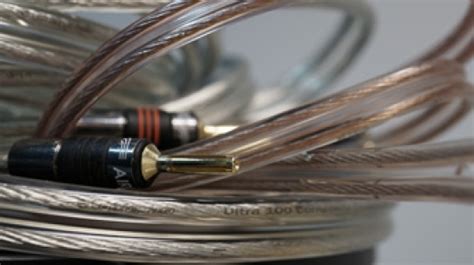 Should You Bi Wire Your Speakers Cambridge Audio Us