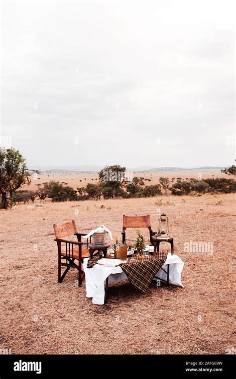 Safari luxury outdoor picnic with African style wooden director chair ...