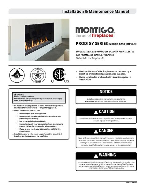 Montigo Prodigy PCST6 Custom See Through Fireplace Hearth Appliances