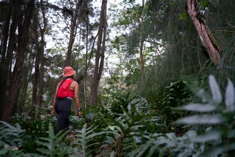 Hiking The Hau'ula Loop Trail On Oahu, Hawaii