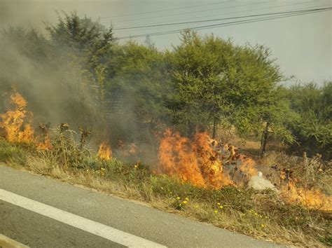 Alerta Roja Para La Comuna De San Pedro Por Incendio Forestal Activo