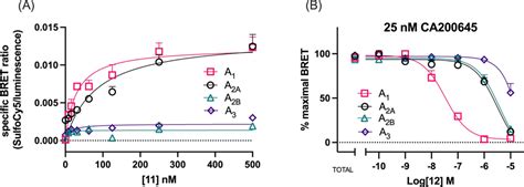 Ligand Directed Labeling Of The Adenosine A1 Receptor In Living Cells Journal Of Medicinal