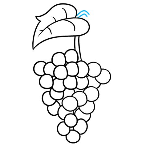 How To Draw Grapes Really Easy Drawing Tutorial