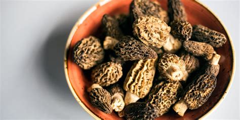 How To Cook Morels Great British Chefs Morel Mushroom Recipes