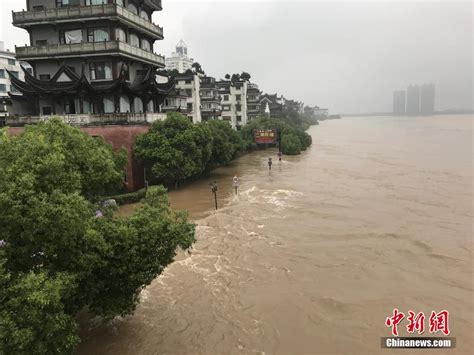 直击暴雨侵袭下的浙江兰溪 水位猛涨汛情告急 新闻中心 中国网