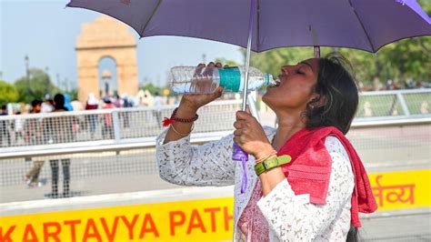 At 499 Degrees Celsius Delhi Sees Record Breaking Maximum Temperature India News Business