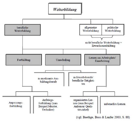 Schaubild Organisation Beruflicher Bildung Weiterbildung Quizlet