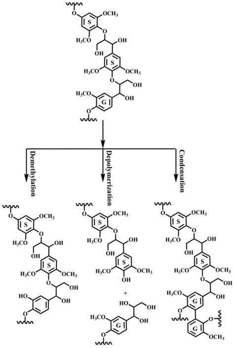 Fermentation Free Full Text Green Fractionation And Structural